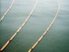 - Triple Exposure of a Harbor Line