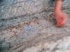- Ants 'n Hands